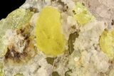 Sulfur Crystals in Matrix - Italy #93646-1